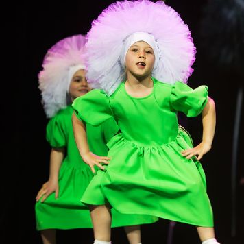 Танцевальная студия Аллы Духовой TODES